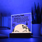 LED Lighted Acrylic Square, the PERFECT Father's Day Gift - So Sorry Dad, My Brother, your Son, should be held responsible for YOUR Hair Loss! - Best Bald headed Dad!